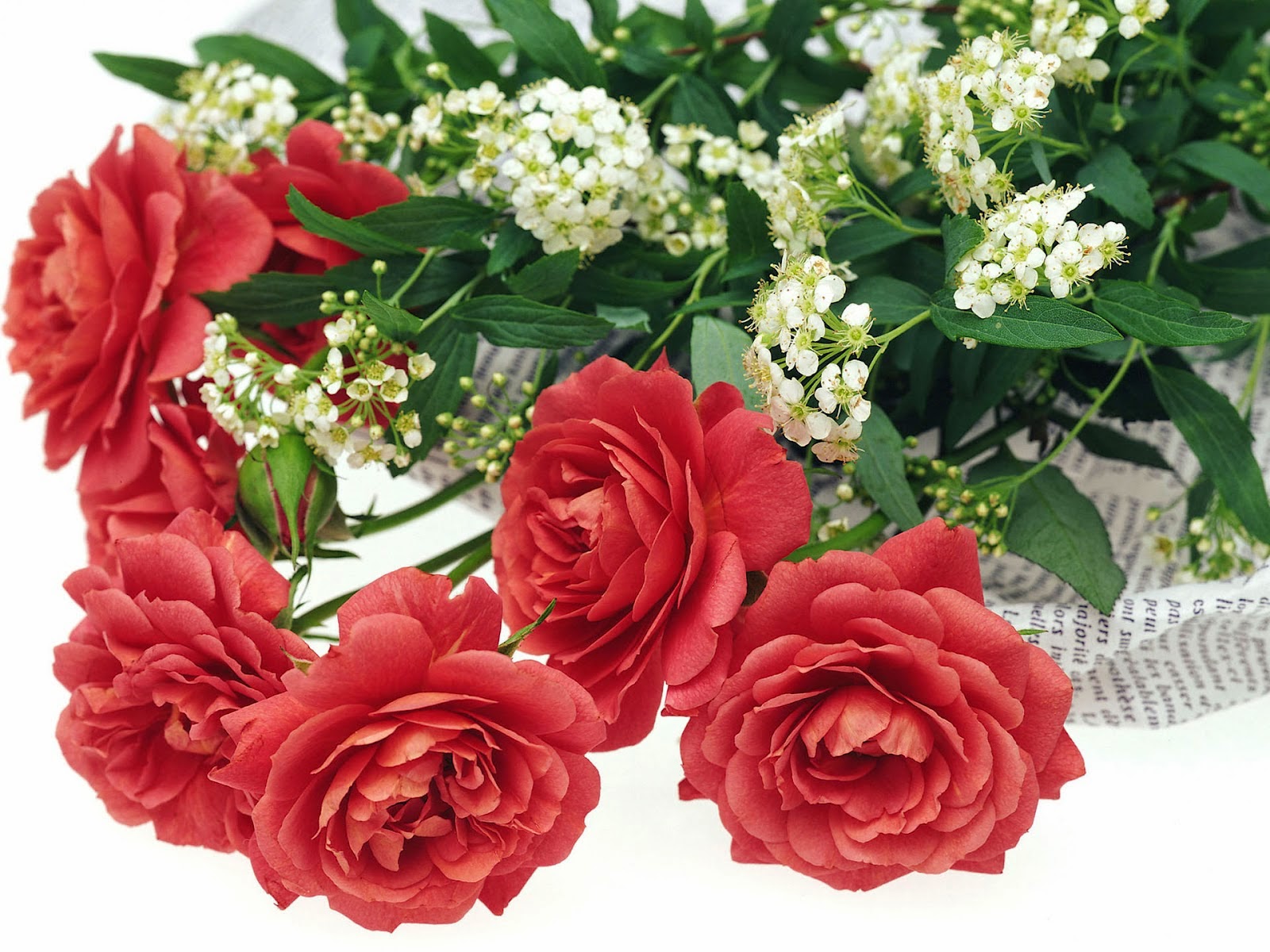 Kumpulan Gambar Bunga Romantis I Love You - Flowers Romantic Other Than Roses - HD Wallpaper 