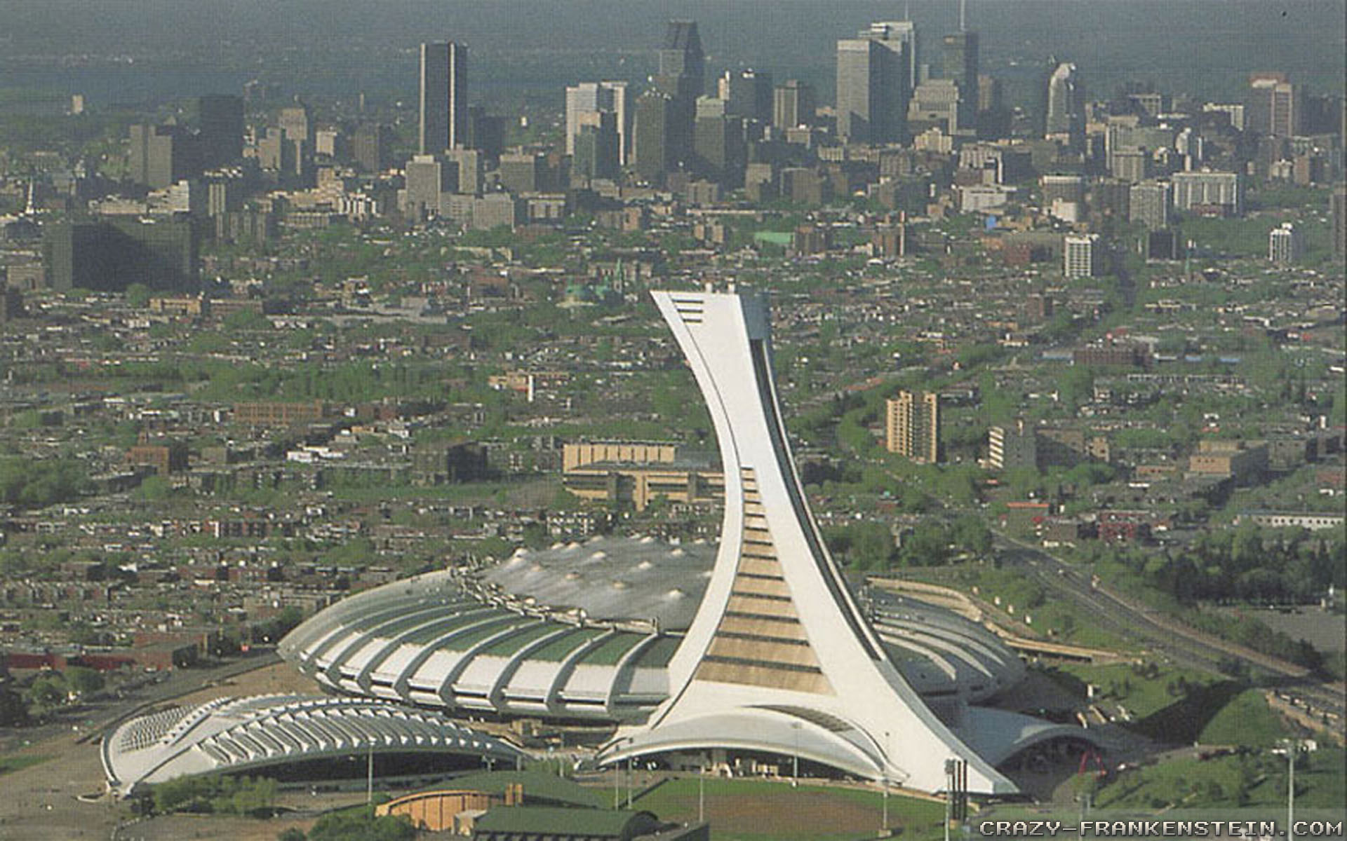 Montreal Rays - HD Wallpaper 