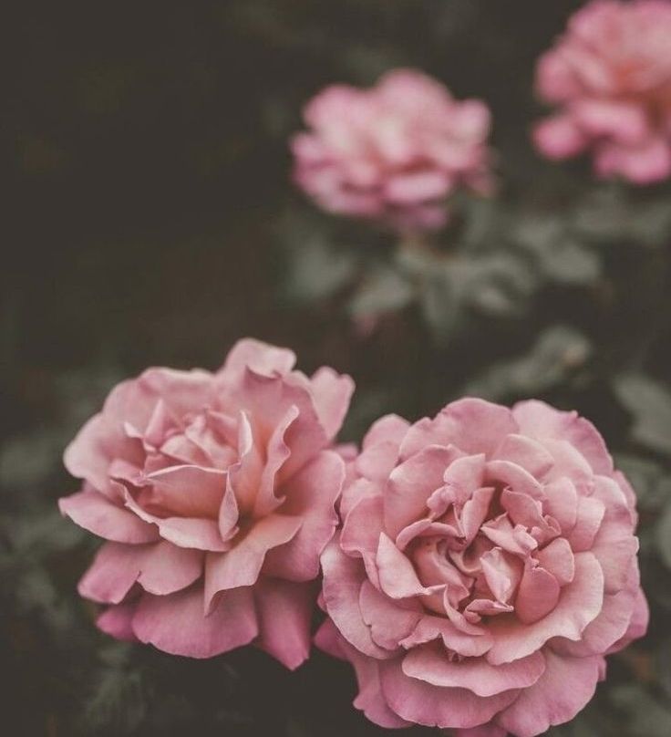 Wallpaper Android Keren 3d Naruto-ad 1] Wallpaper Android - Blumen Hintergrundbilder - HD Wallpaper 