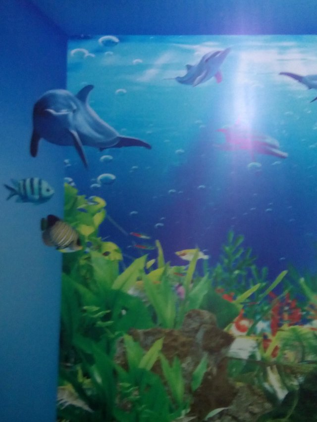 Image - Aquarium - HD Wallpaper 