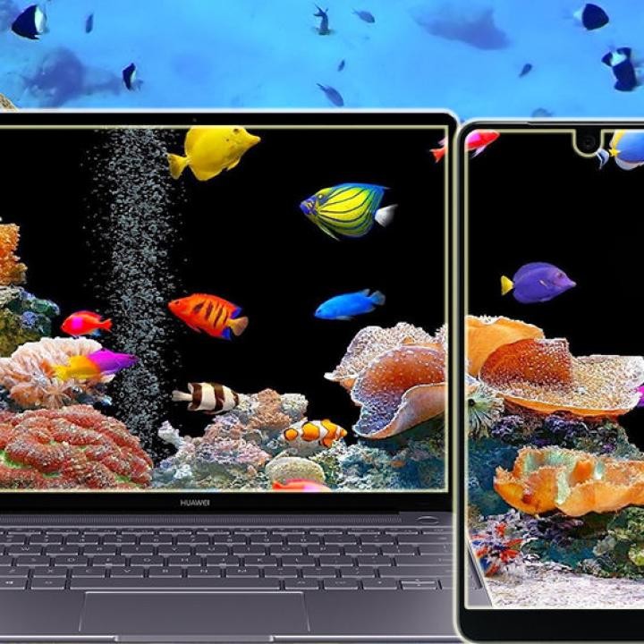 20 Wallpaper Hidup 3d Terbaik Android Dan Pc, Gratis - Best Hd Aquarium Live Wallpaper For Android - HD Wallpaper 