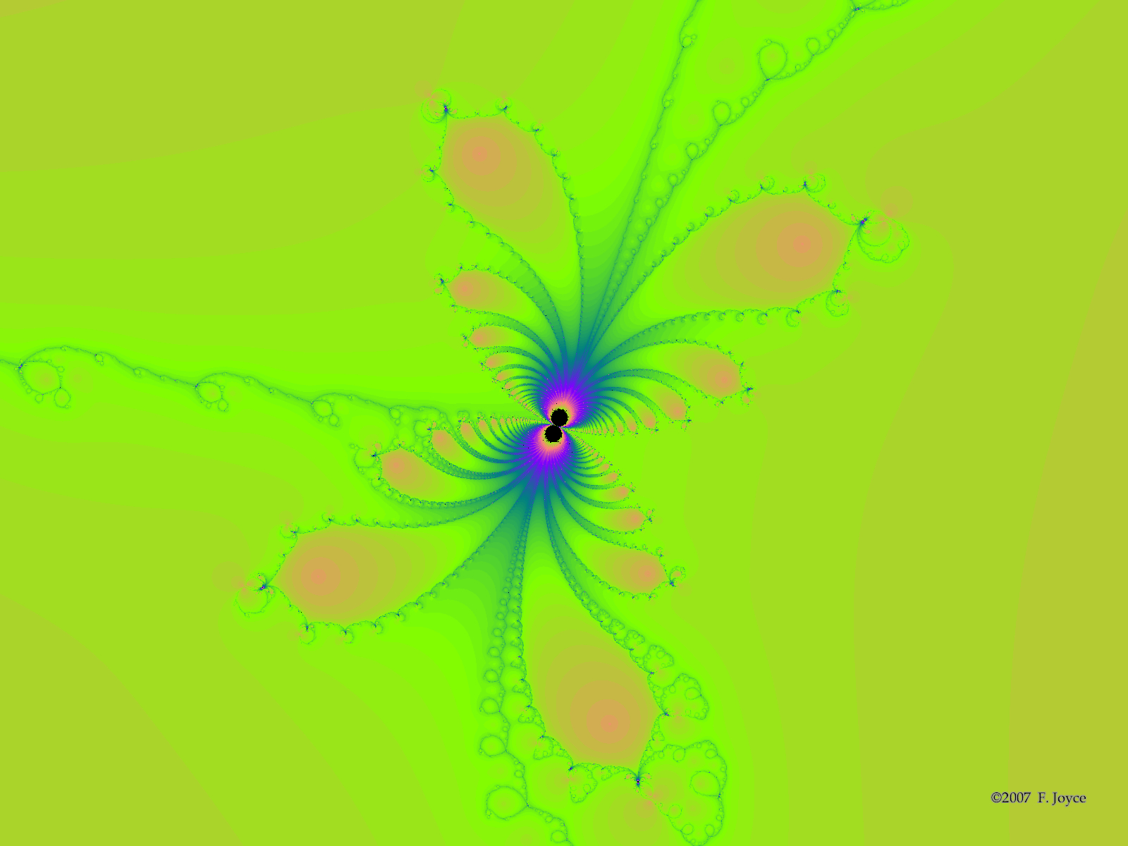 Kupu Kupu - HD Wallpaper 