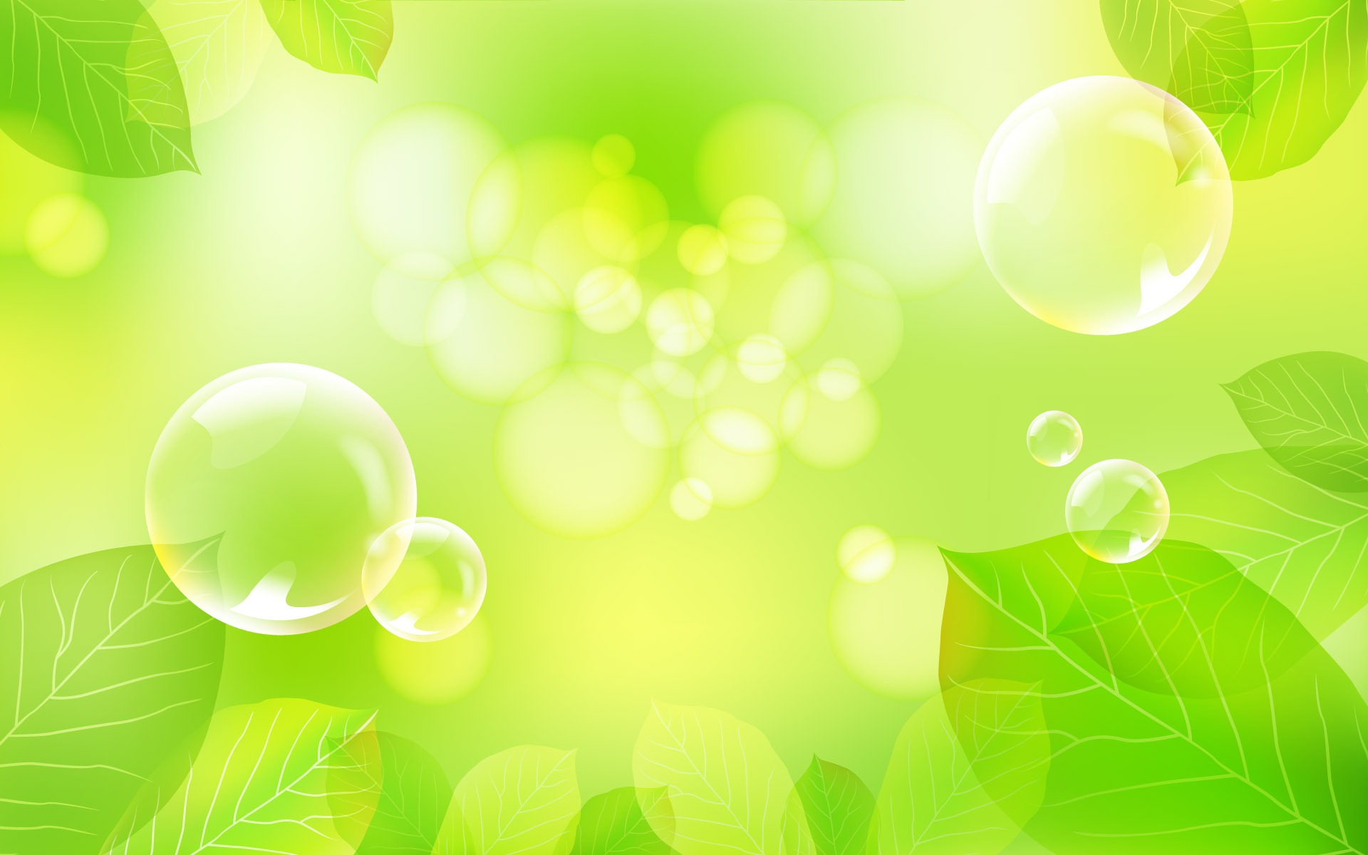 Colorful Vector Background Wallpaper - Vector Background Images Hd - HD Wallpaper 