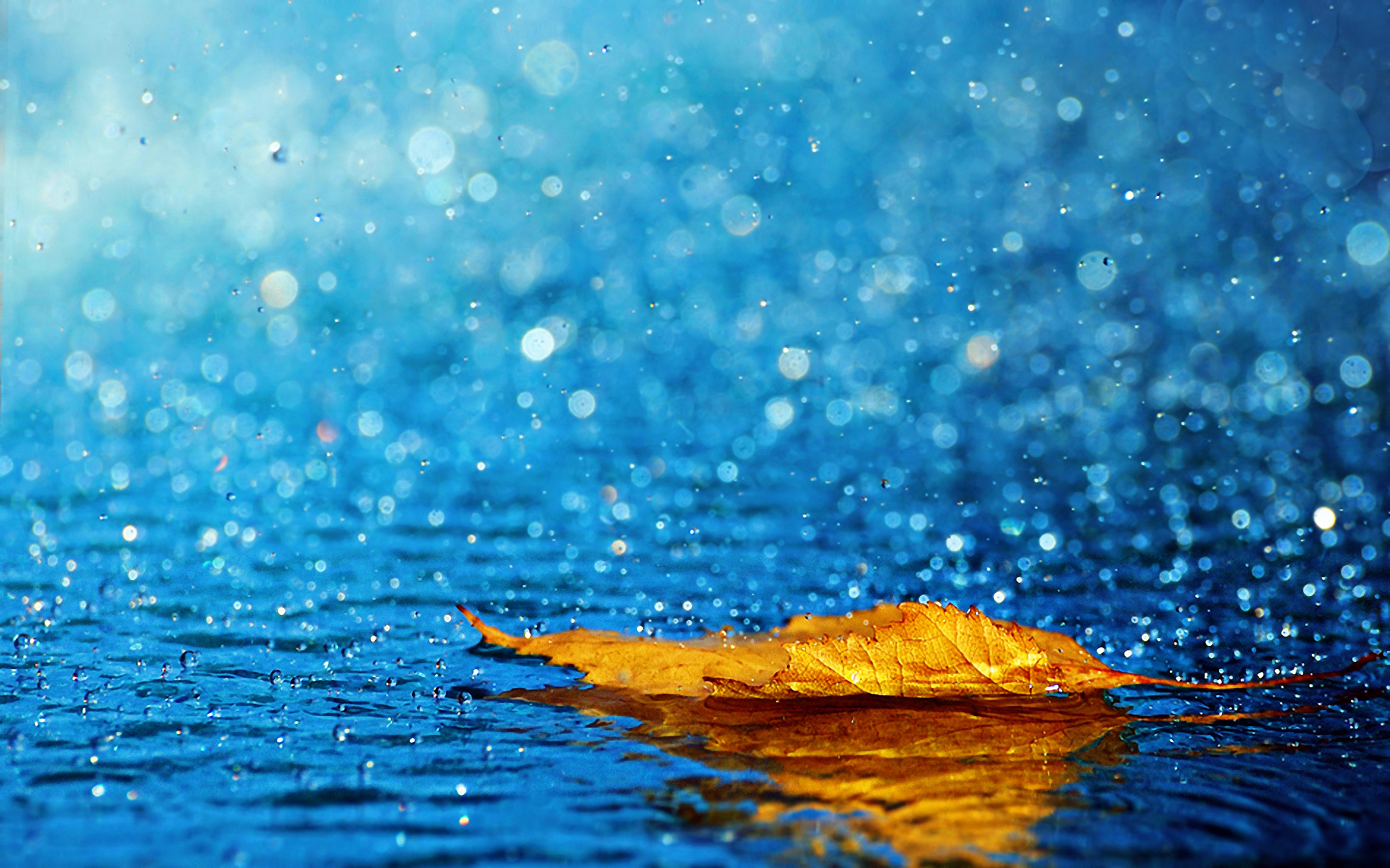 Rain And Leaf - Rain Hd Image Of Nature - HD Wallpaper 