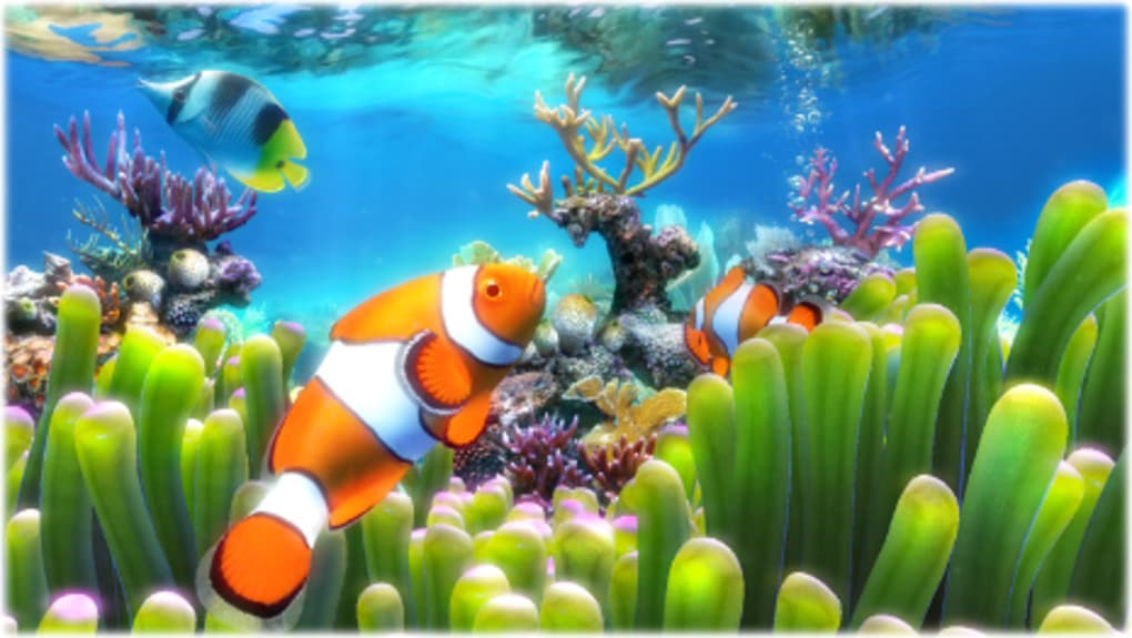 Clownfish Aquarium Live Wallpaper - Download Wallpaper Aquarium 3d Bergerak  - 1020x575 Wallpaper 