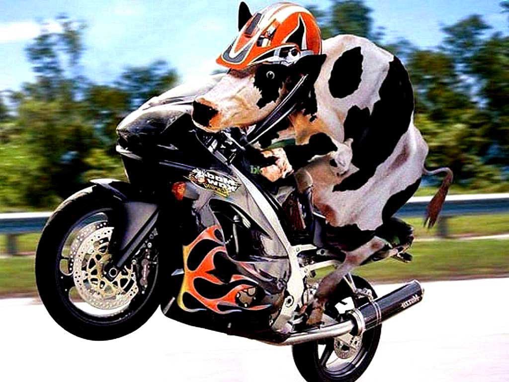 Motorcycle - HD Wallpaper 
