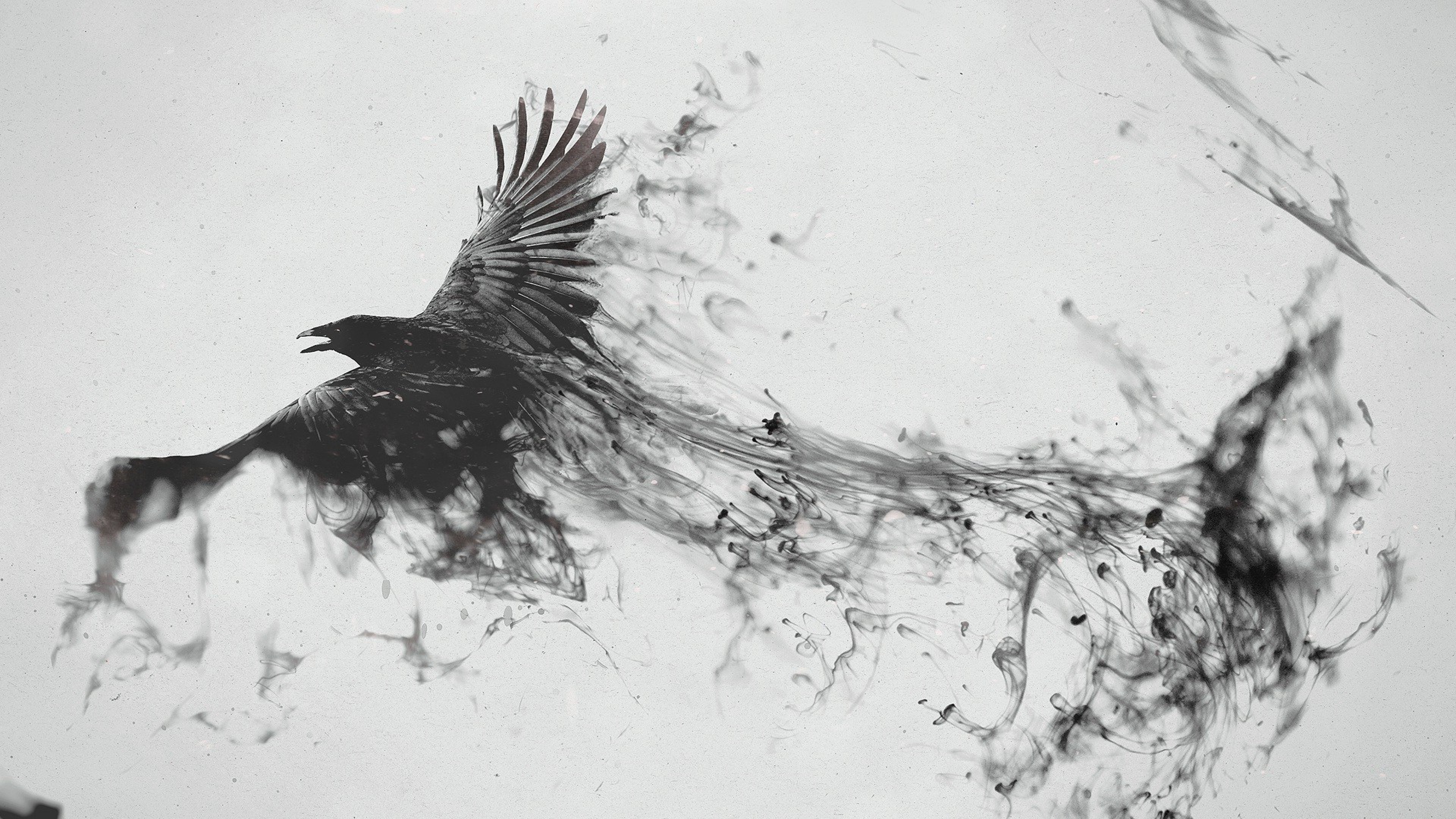 Bird Art Abstract - HD Wallpaper 