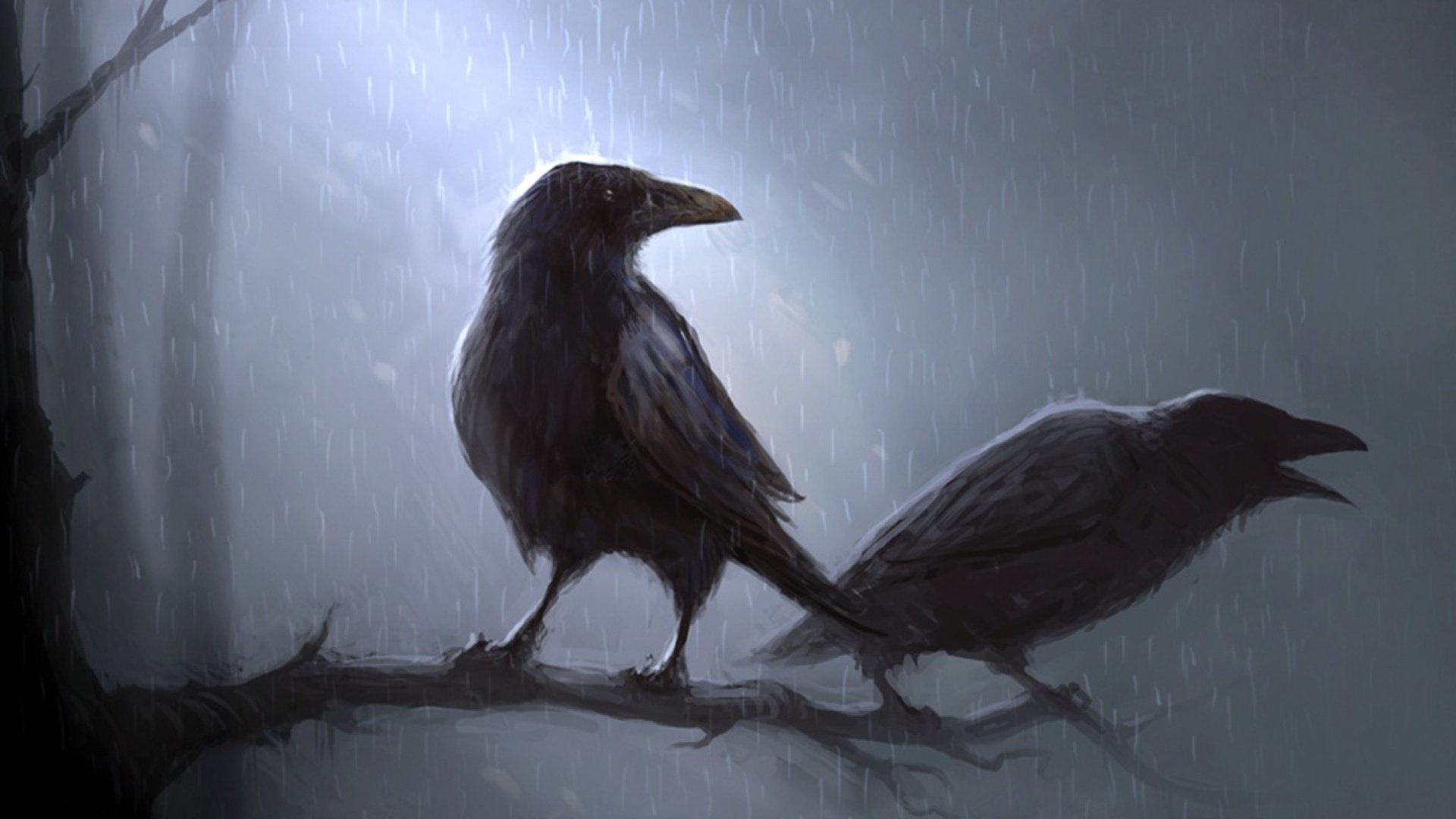 Crow Background - HD Wallpaper 