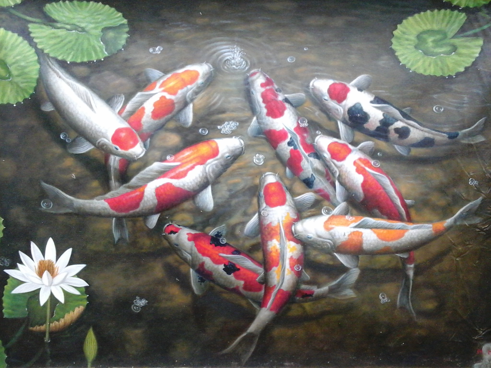 Ikan Koi Jan - Lukisan Ikan Koi Hd - HD Wallpaper 