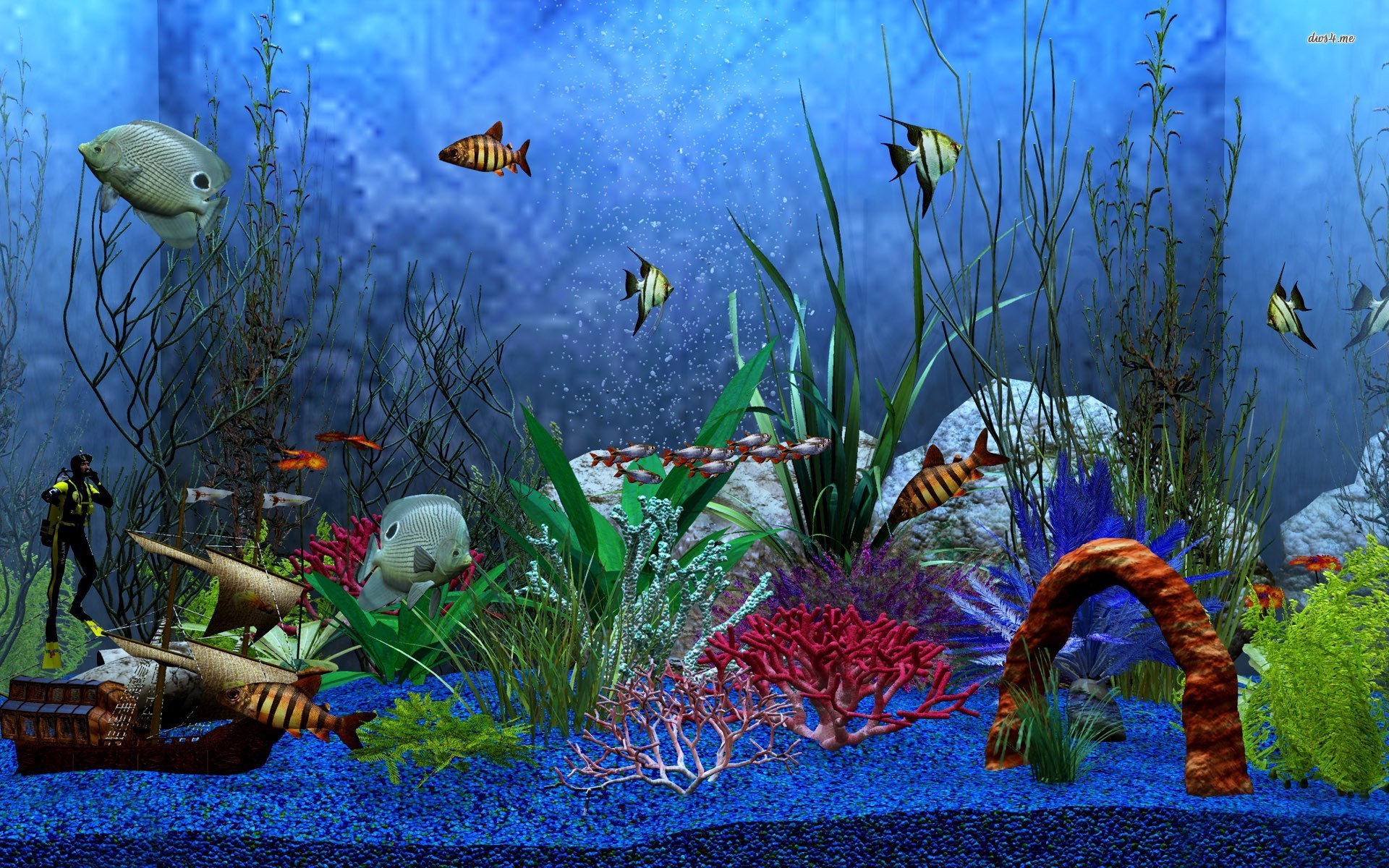 Wallpaper Hd Wide Html Code - Aquarium Fish Tank Texture - HD Wallpaper 