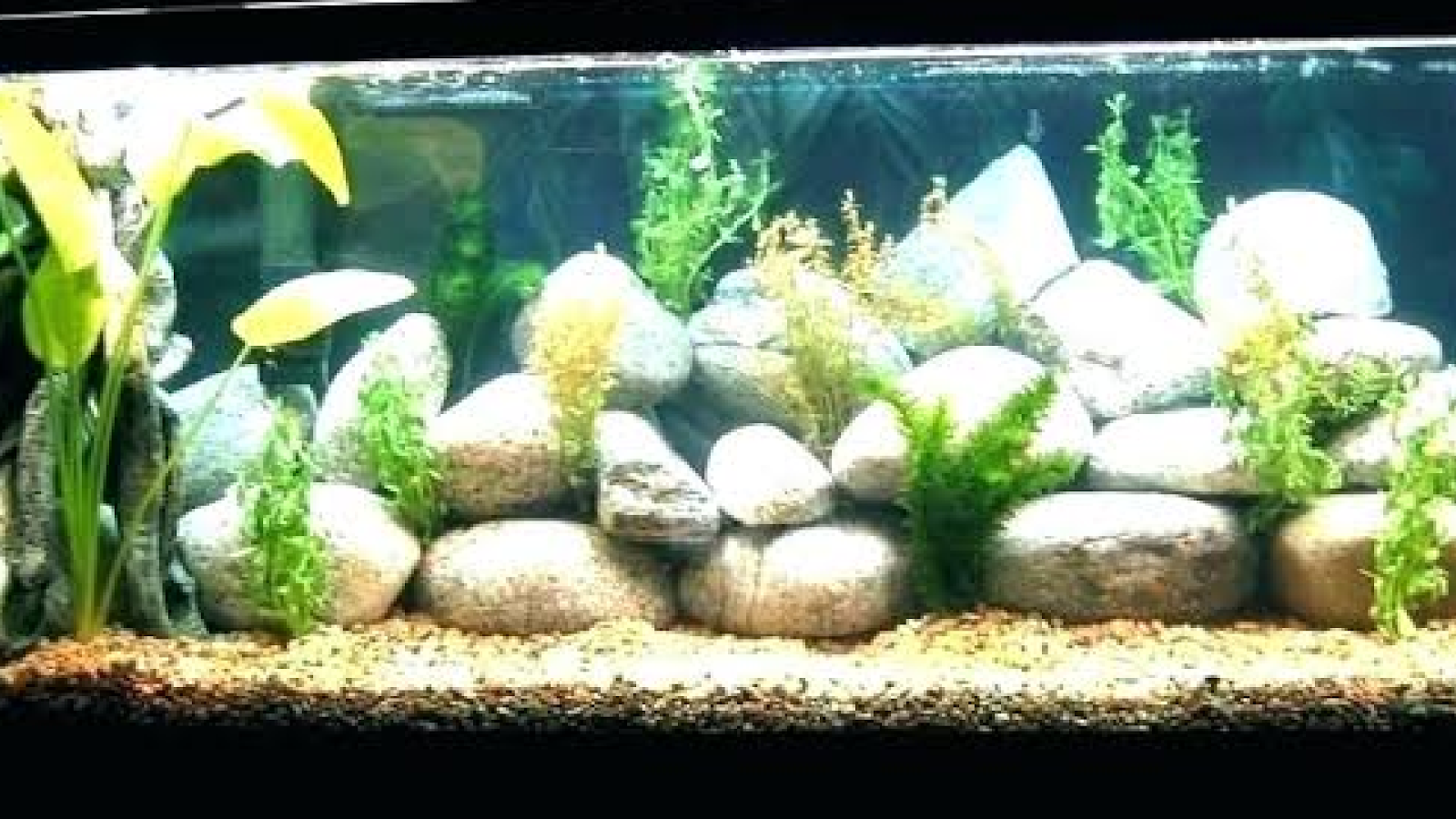Home Fish Tank Designs - HD Wallpaper 
