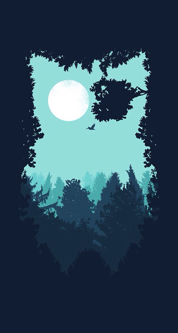 Winter Owl Backgrounds - HD Wallpaper 