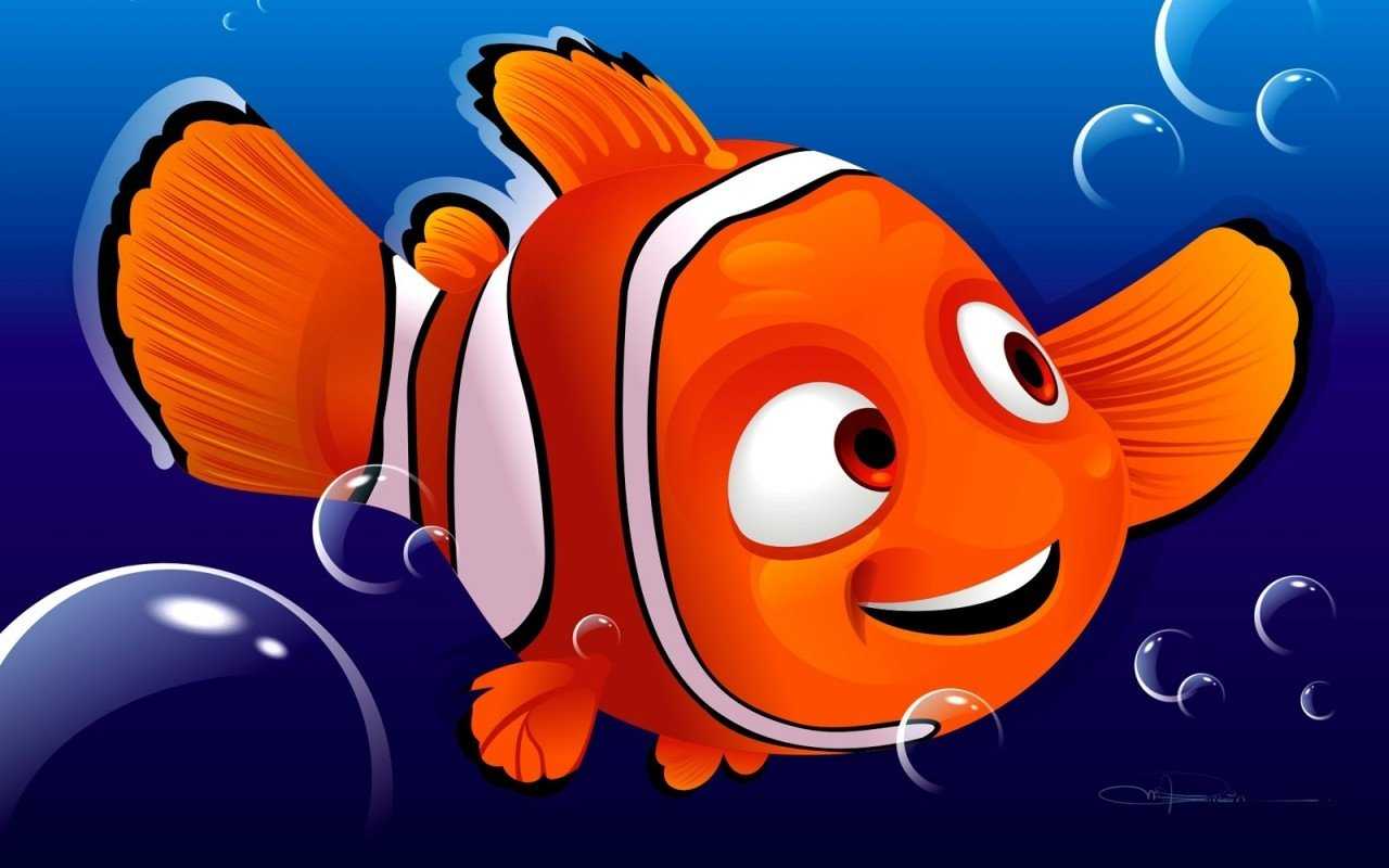 Finding Nemo Hd Wallpaper Finding Nemo Hd Wallpaper - Nemo Hd - HD Wallpaper 