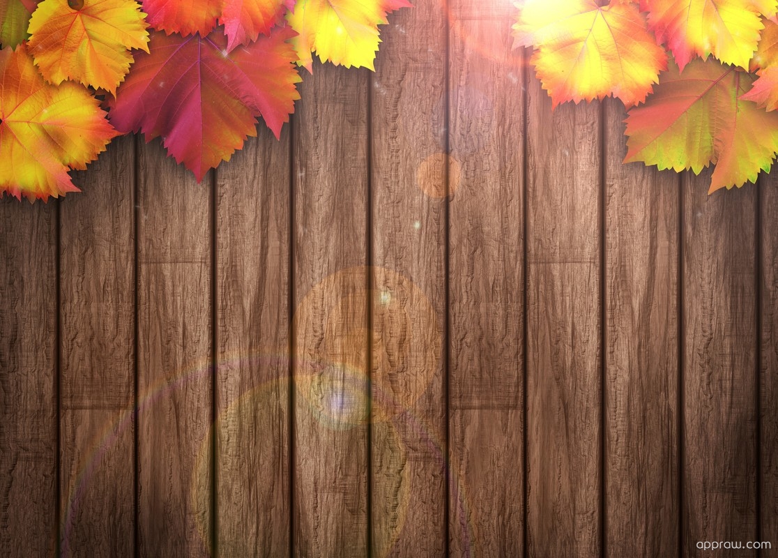 Wood Fall Leaves Background - HD Wallpaper 
