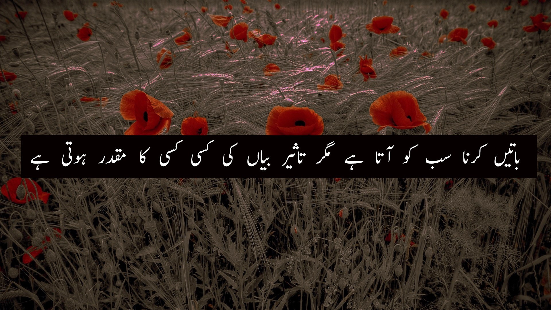 Life Islamic Quotes In Urdu - HD Wallpaper 