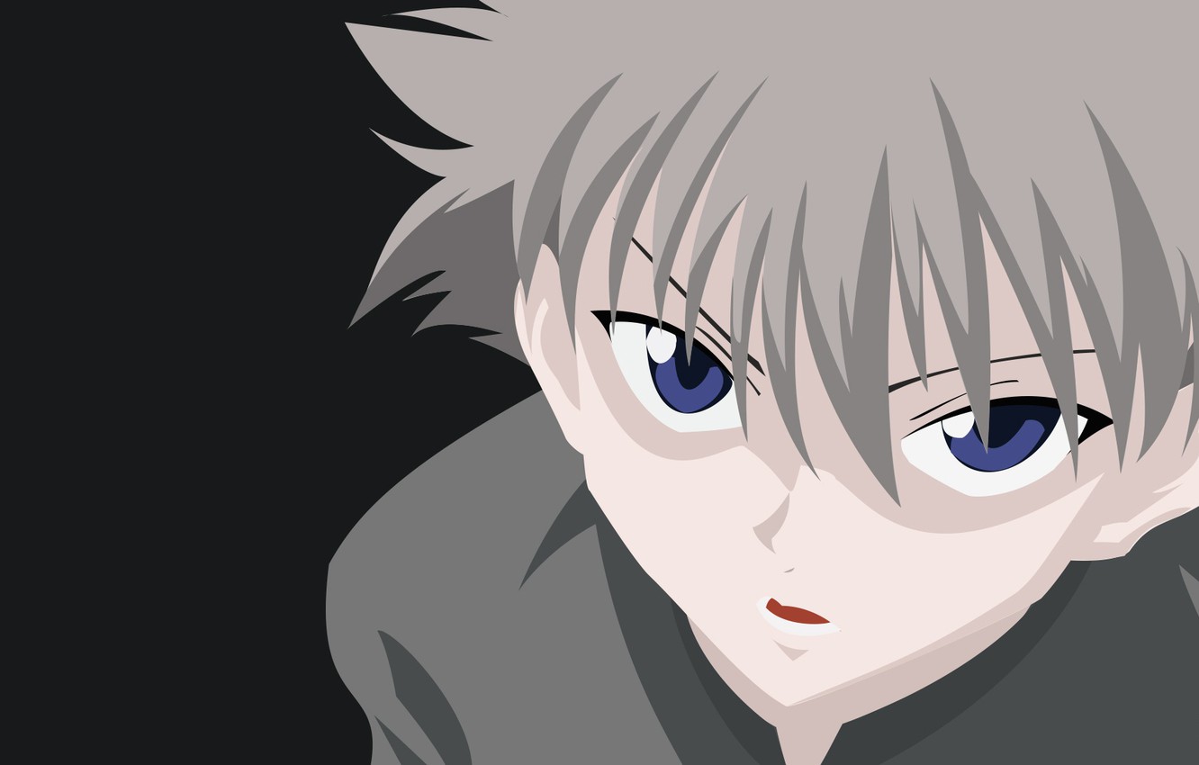 Photo Wallpaper Look, Background, Hunter X Hunter, - Hunter X Hunter Wallpaper Avatar - HD Wallpaper 