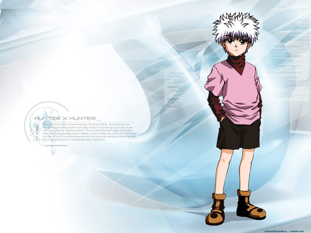 Hunterxhunter - HD Wallpaper 