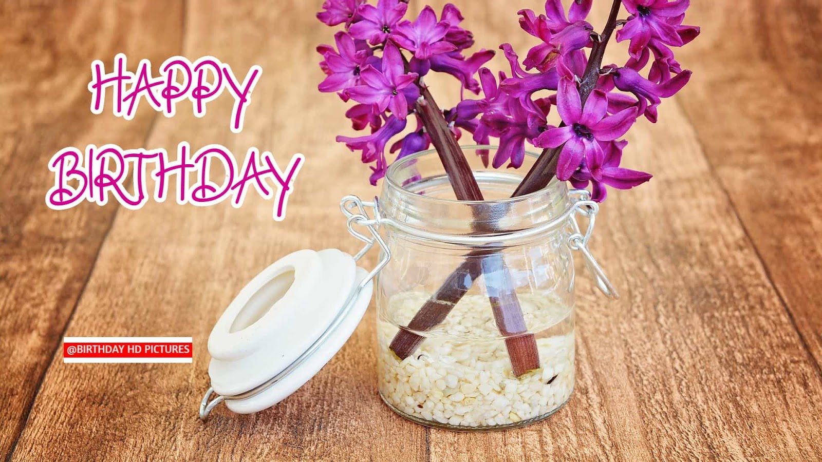 Hyacinth - HD Wallpaper 