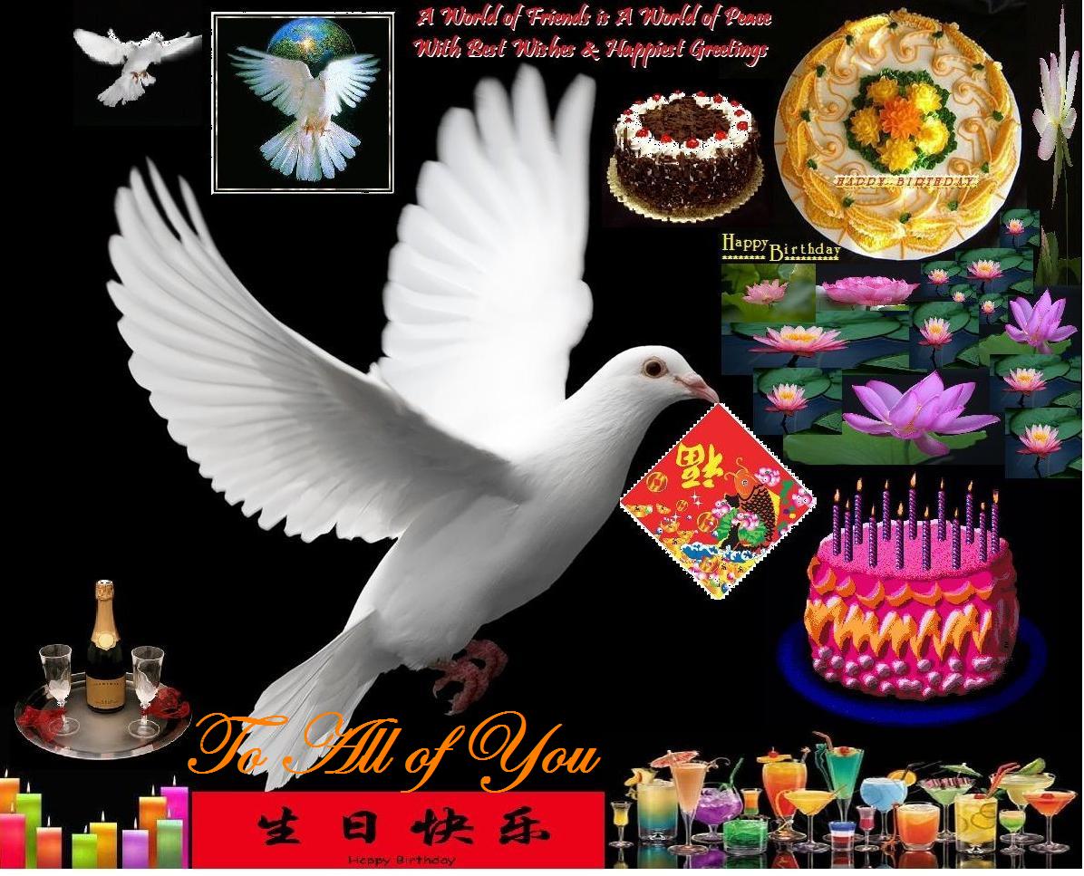 Happy Birthday Bird Free Wallpapers And Backgrounds Uses Of The Holy Spirit 1196x967 Wallpaper Teahub Io
