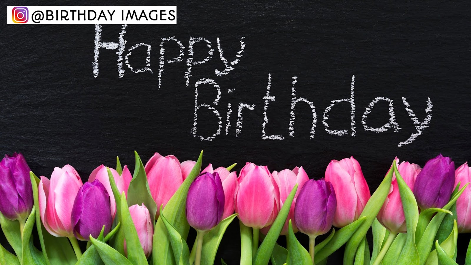 Best 150 English Happy Birthday Wishes Images, Happy - Happy Birthday With Tulips - HD Wallpaper 