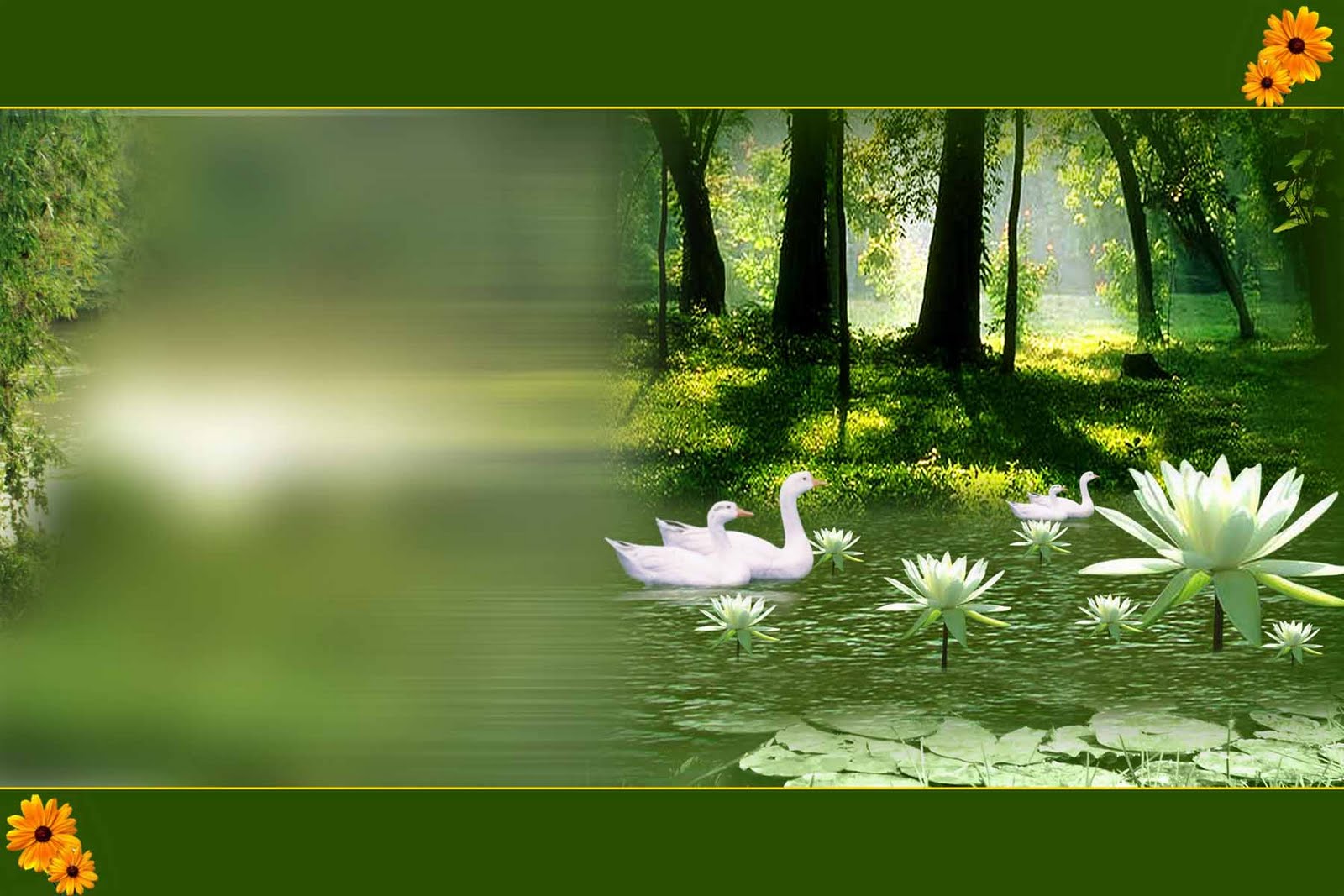 Background Digital Studio Software Free Download - Studio Wallpaper  Photoshop Background - 1600x1067 Wallpaper 