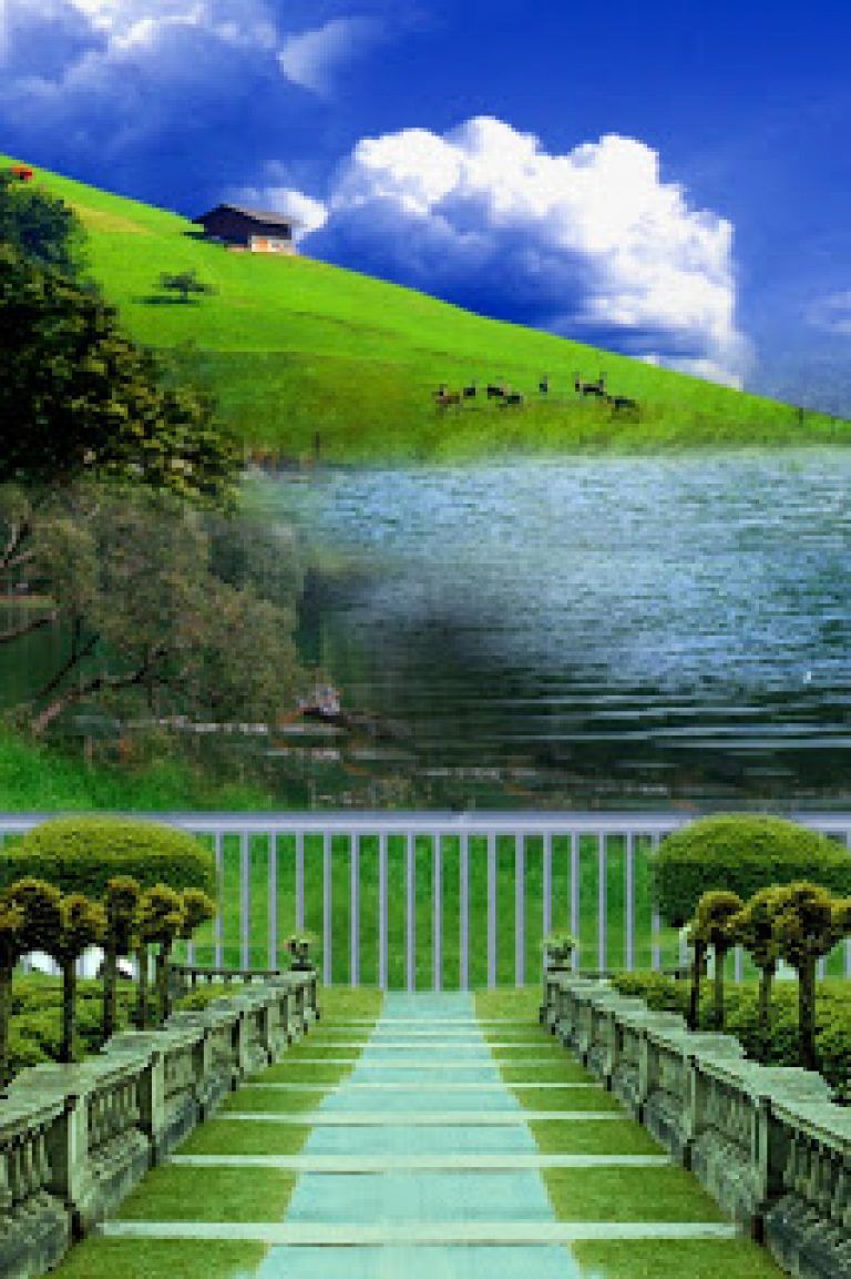 4 6 Photo Background 768x1153 Wallpaper Teahub Io