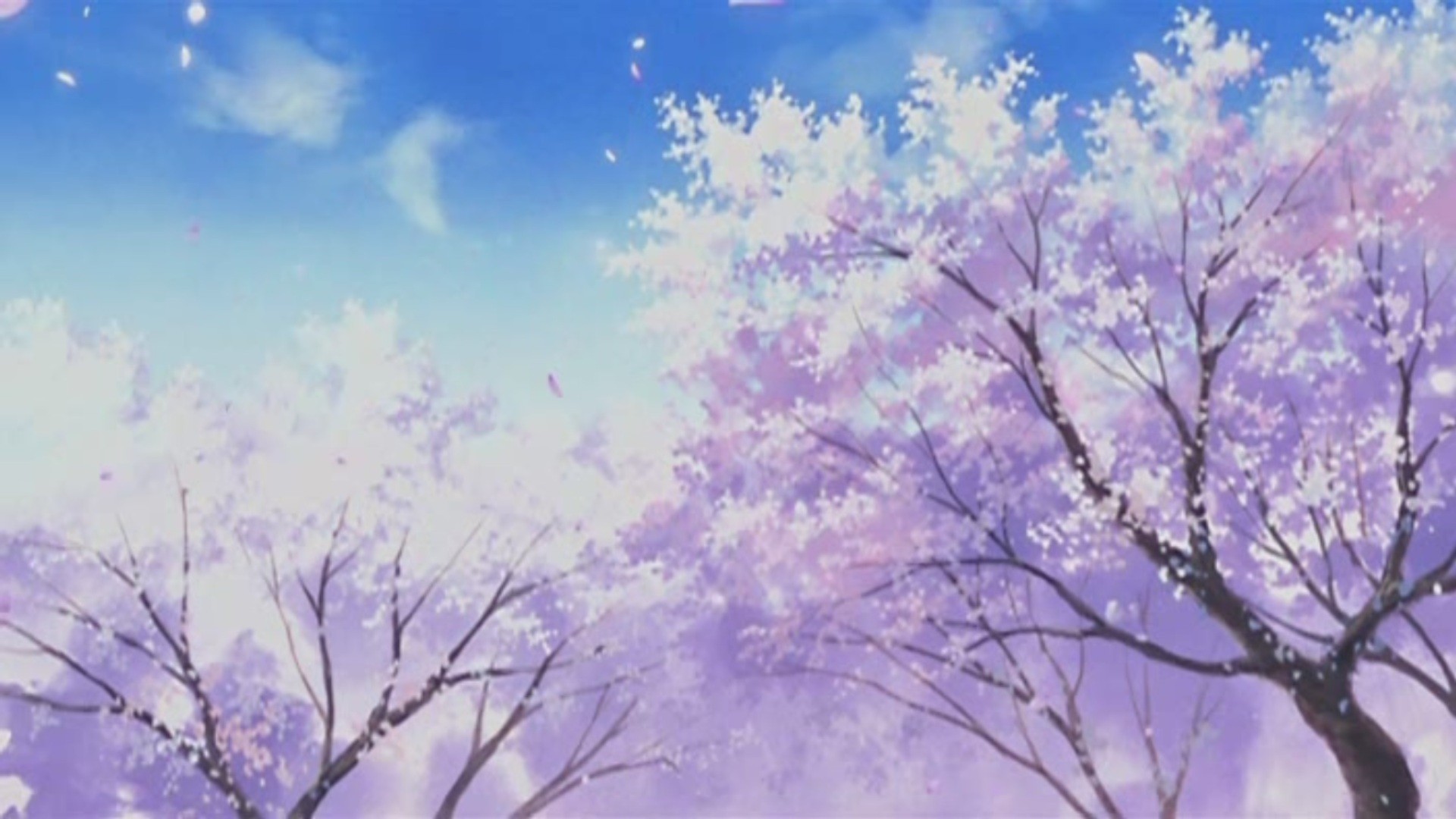 Pastel Aesthetic Anime - Cherry Blossom Anime Scenery - HD Wallpaper 