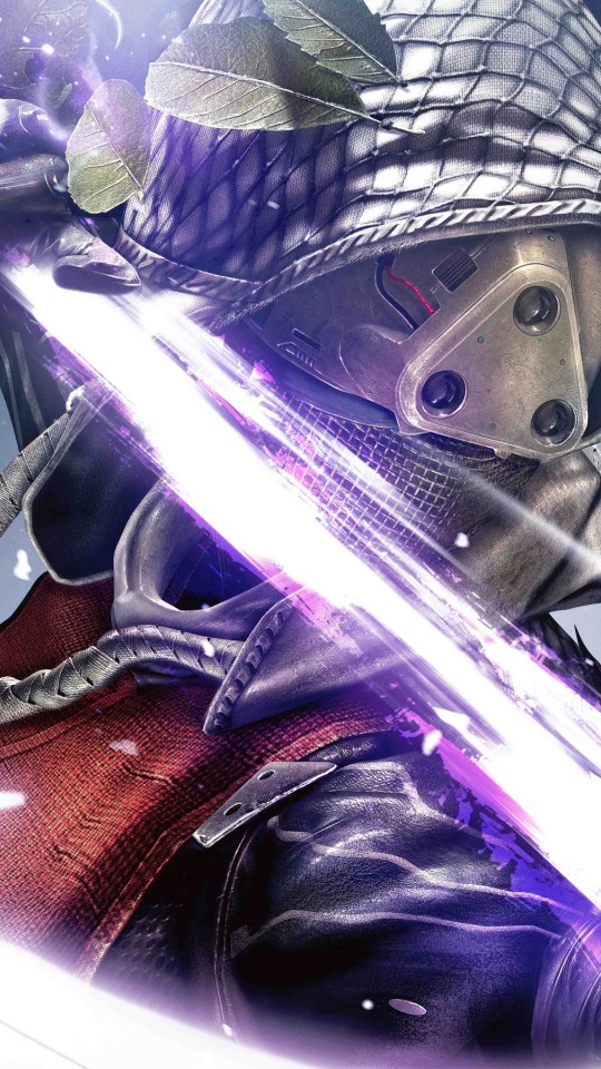Destiny Wallpaper Hunter - HD Wallpaper 