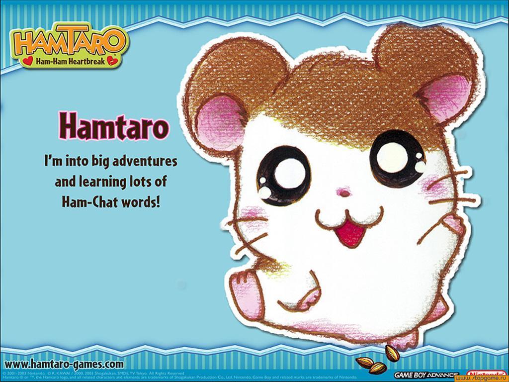 Hamtaro Rainbow Rescue Art - HD Wallpaper 