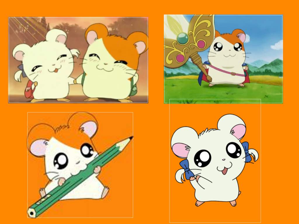 User Uploaded Image - Tattoo Biju E Hamtaro - HD Wallpaper 