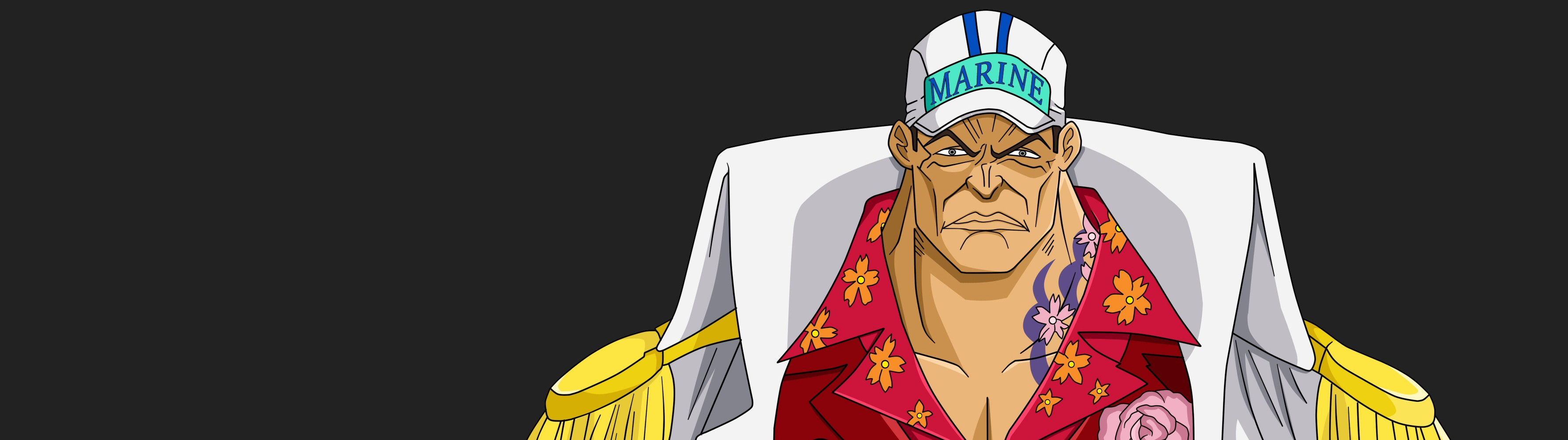 One Piece Dual Screen - HD Wallpaper 