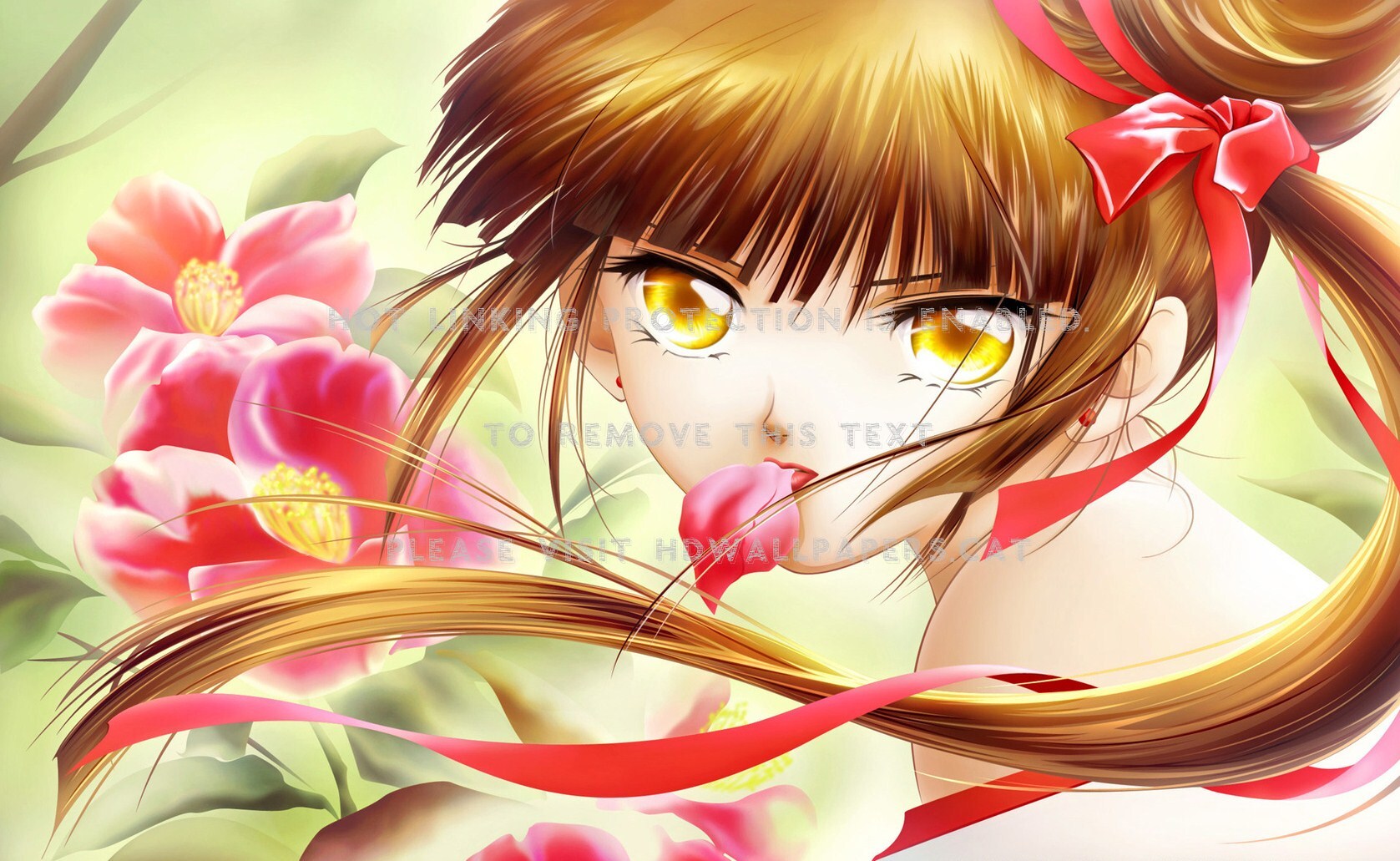 Miyu Vampire Anime Princess - Anime Vampire Princess Miyu - HD Wallpaper 