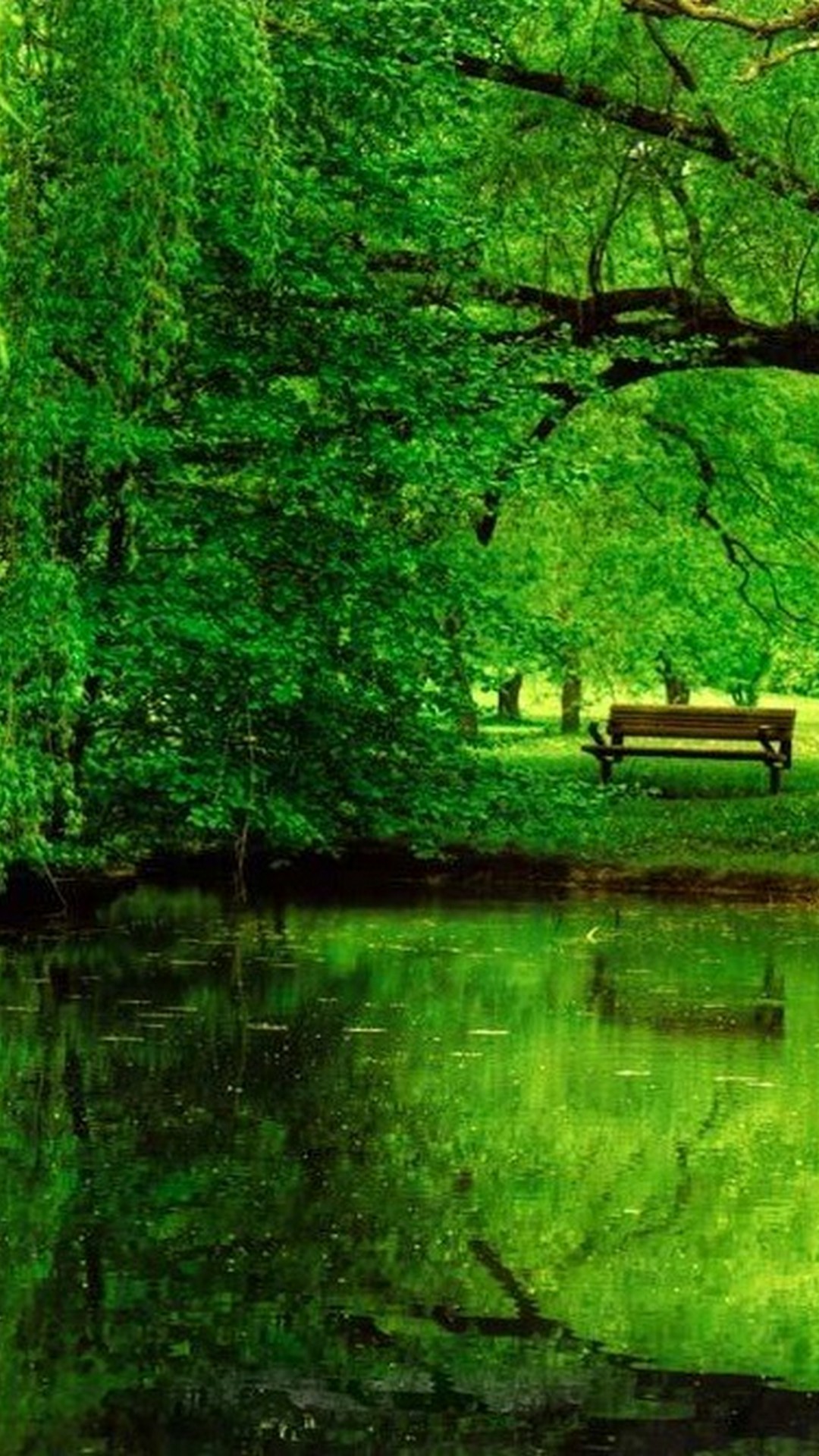 Wallpaper Nature Green Iphone With Image Resolution - Thought On Our Environment - HD Wallpaper 