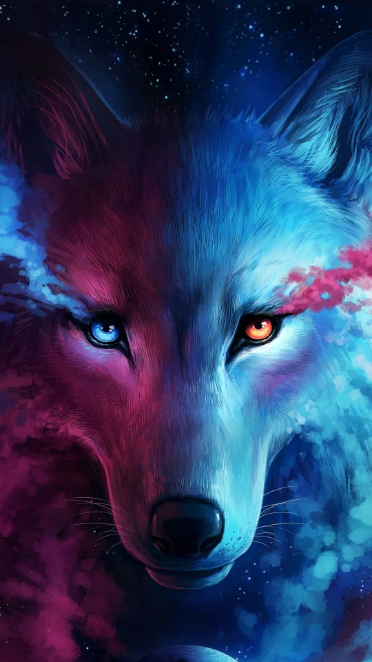 Wolf Cool - HD Wallpaper 