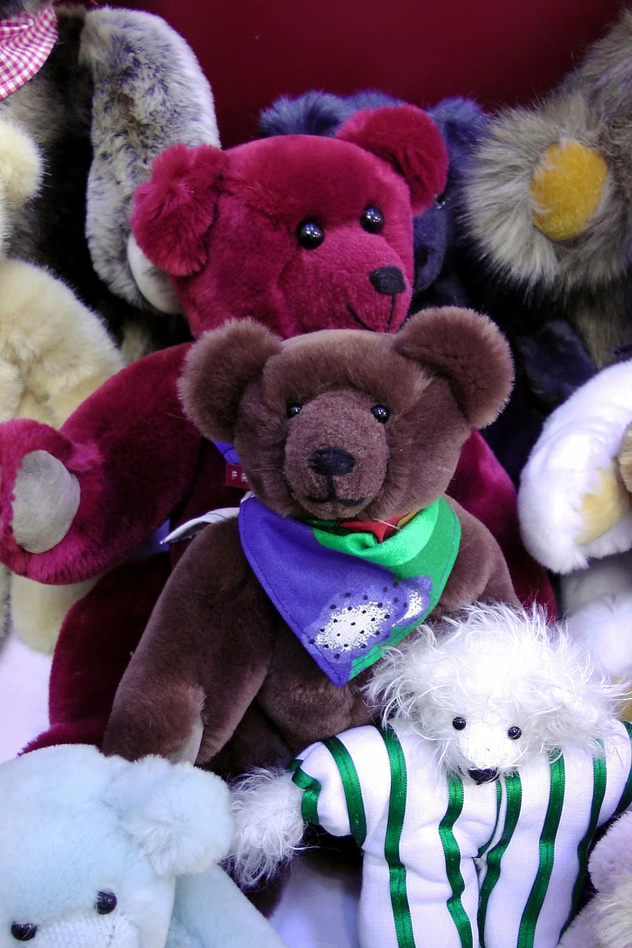 Teddy Bears, Colorful, Stuffed Animal, Toys, Plush - HD Wallpaper 