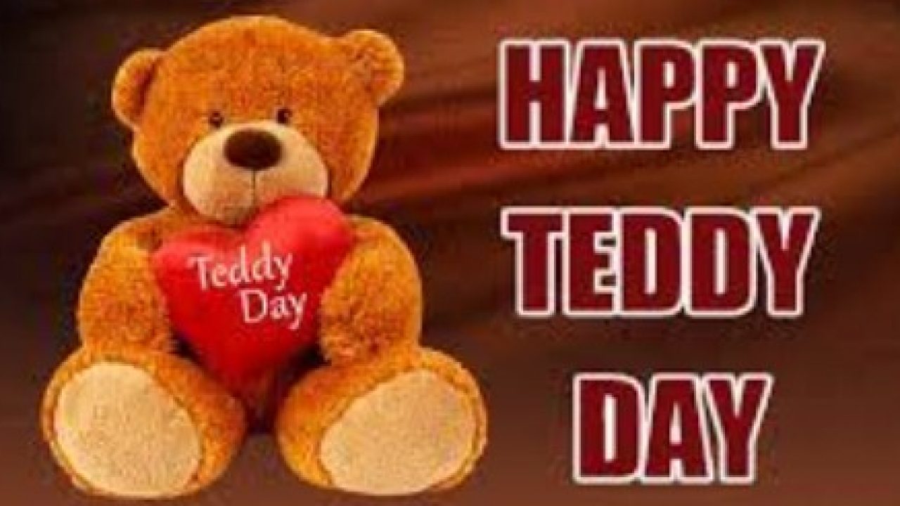 Teddy Bear - HD Wallpaper 