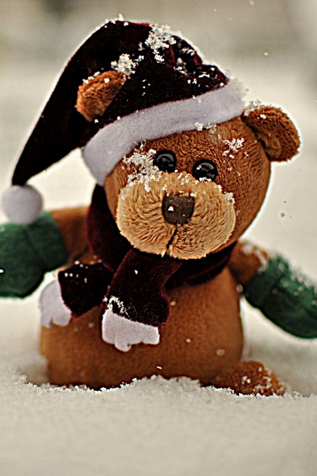 Wish I Had A Teddy Bear - HD Wallpaper 