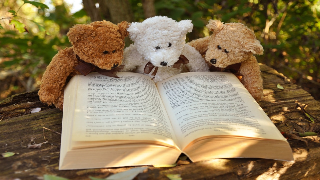 We Are Sharing The Best Collection Of Happy Teddy Day - Teddy Bears Reading Books - HD Wallpaper 