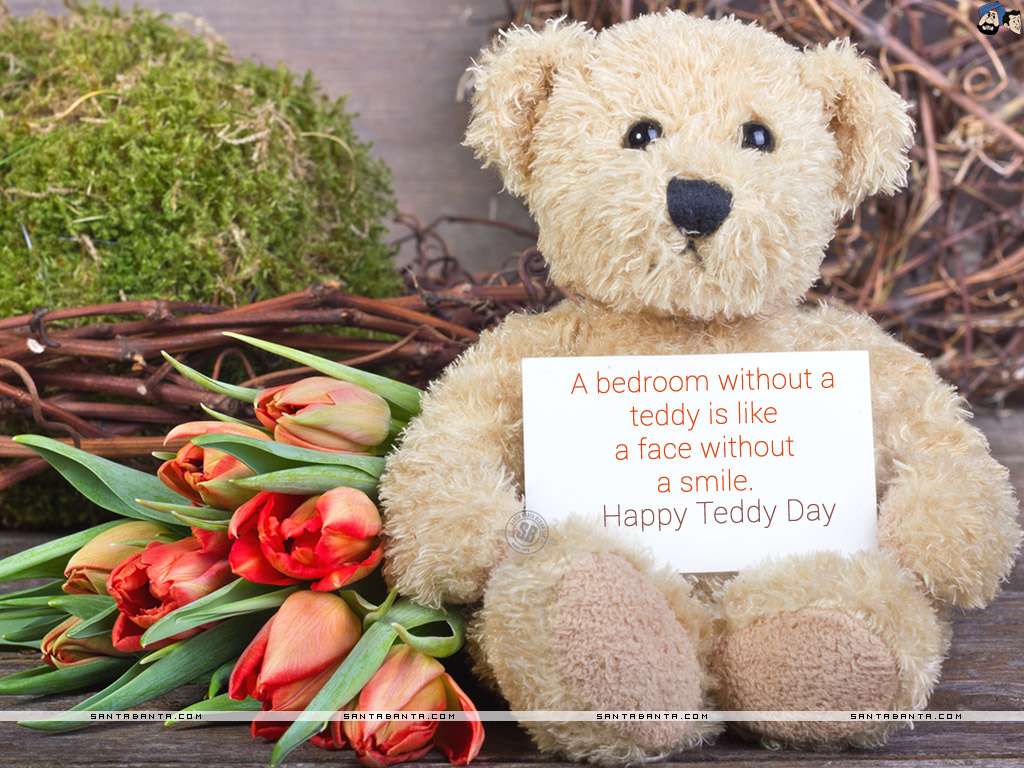 Sorry With Teddy Bear - HD Wallpaper 