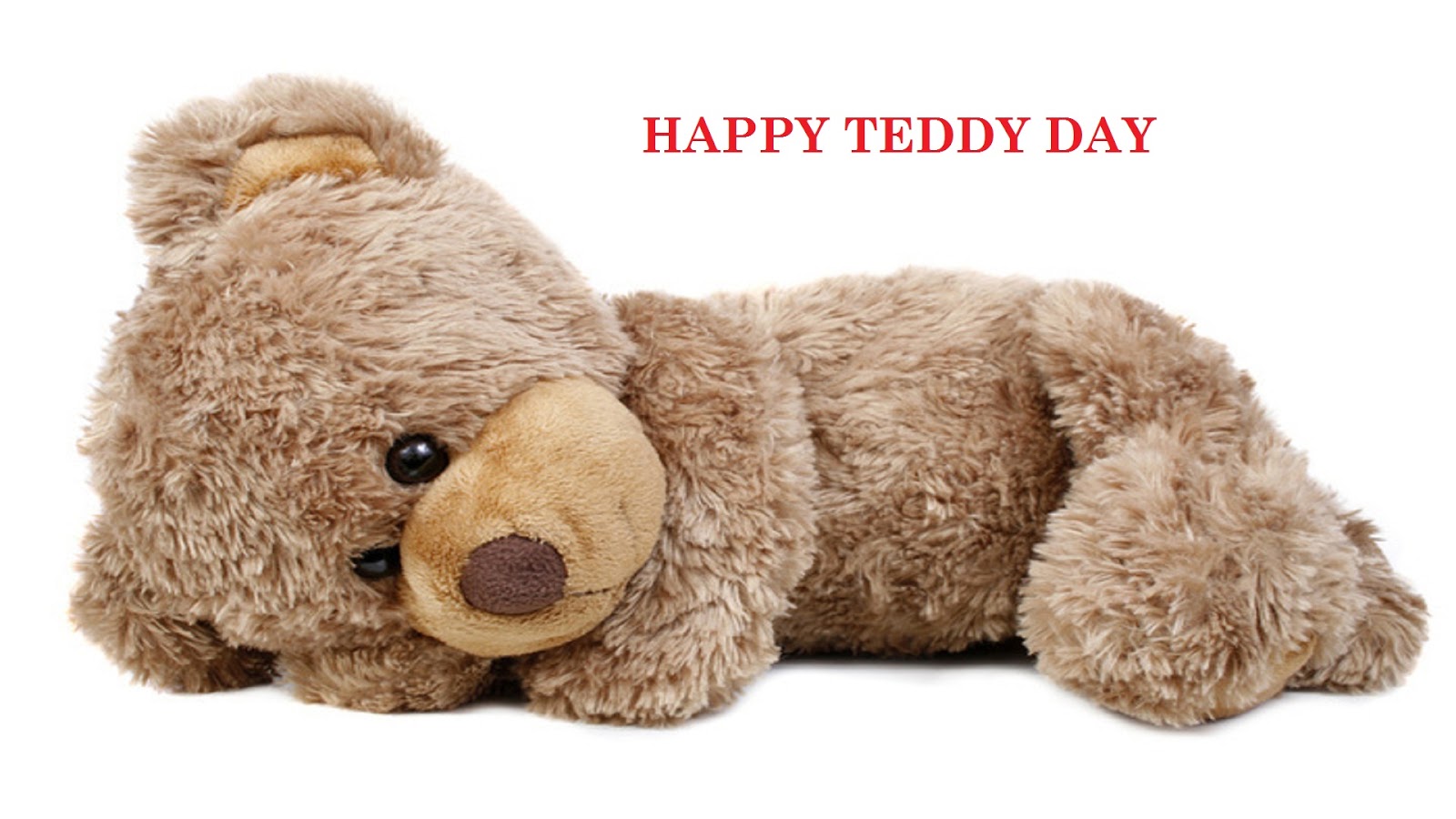 Teddy Day Photos - Teddy Bear Baby Good Night - 1600x900 Wallpaper -  