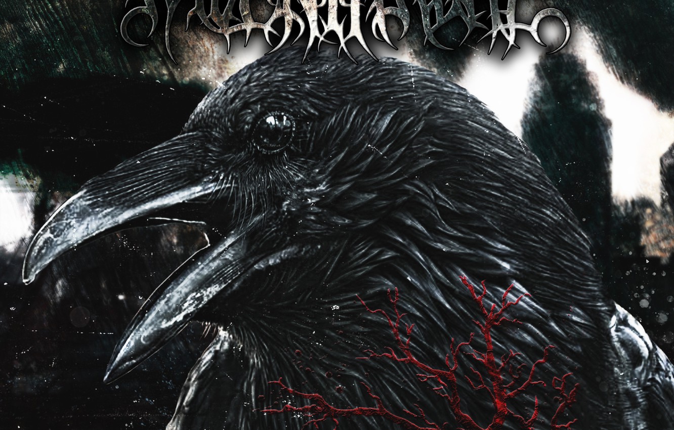 Photo Wallpaper Death, Destruction, Raven, The Doctrine - Raven Throne - HD Wallpaper 