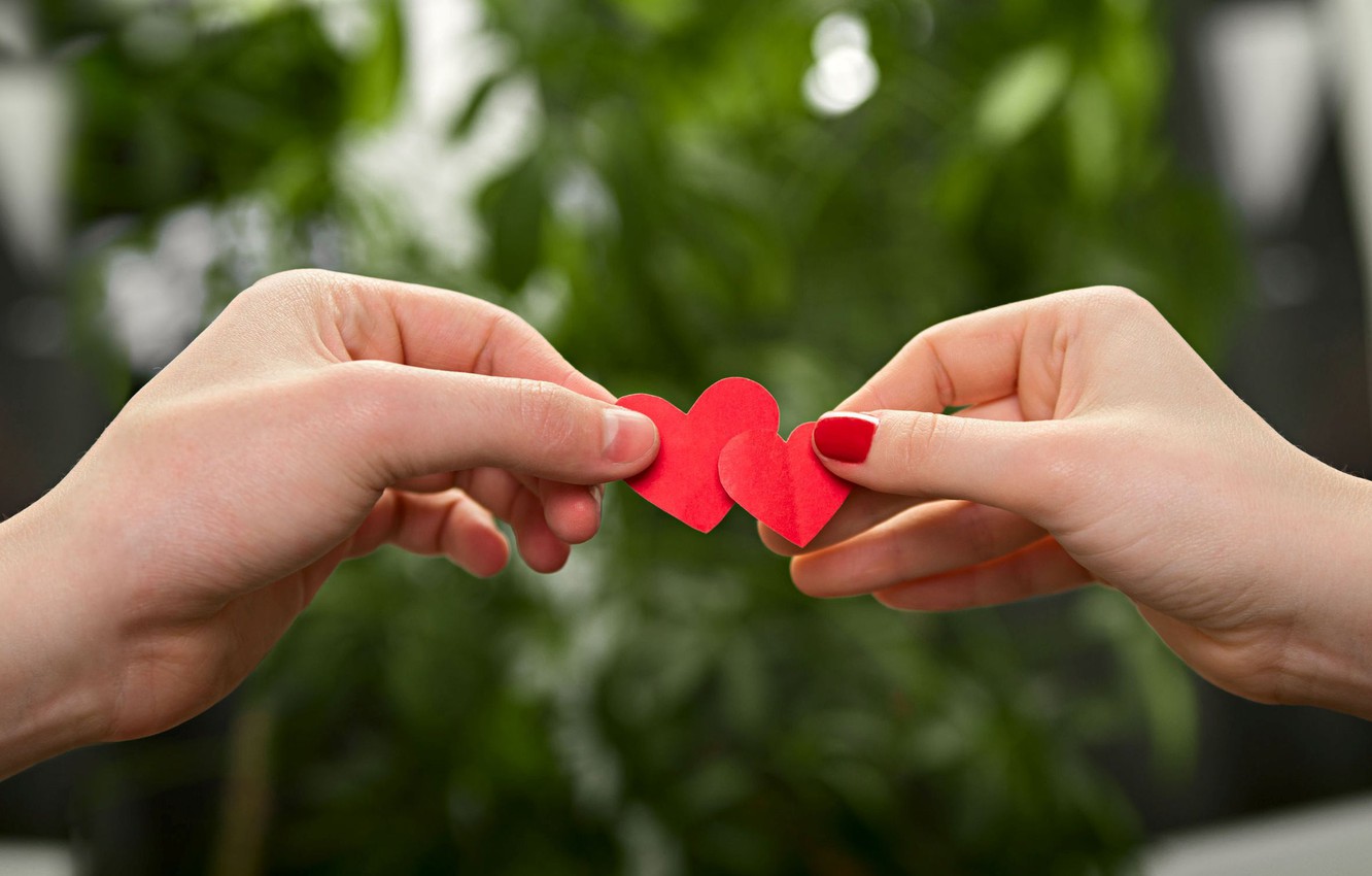 Photo Wallpaper Love, Red, Background, Sign, Wallpaper, - Couple Heart Shape Hand - HD Wallpaper 