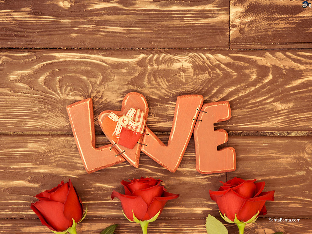 Photography - HD Wallpaper 