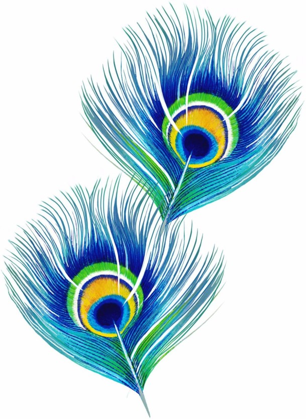 Single Hd Peacock Feather - HD Wallpaper 