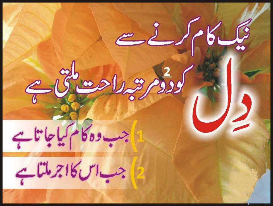 Aqwal Zaree In Urdu Dil - HD Wallpaper 