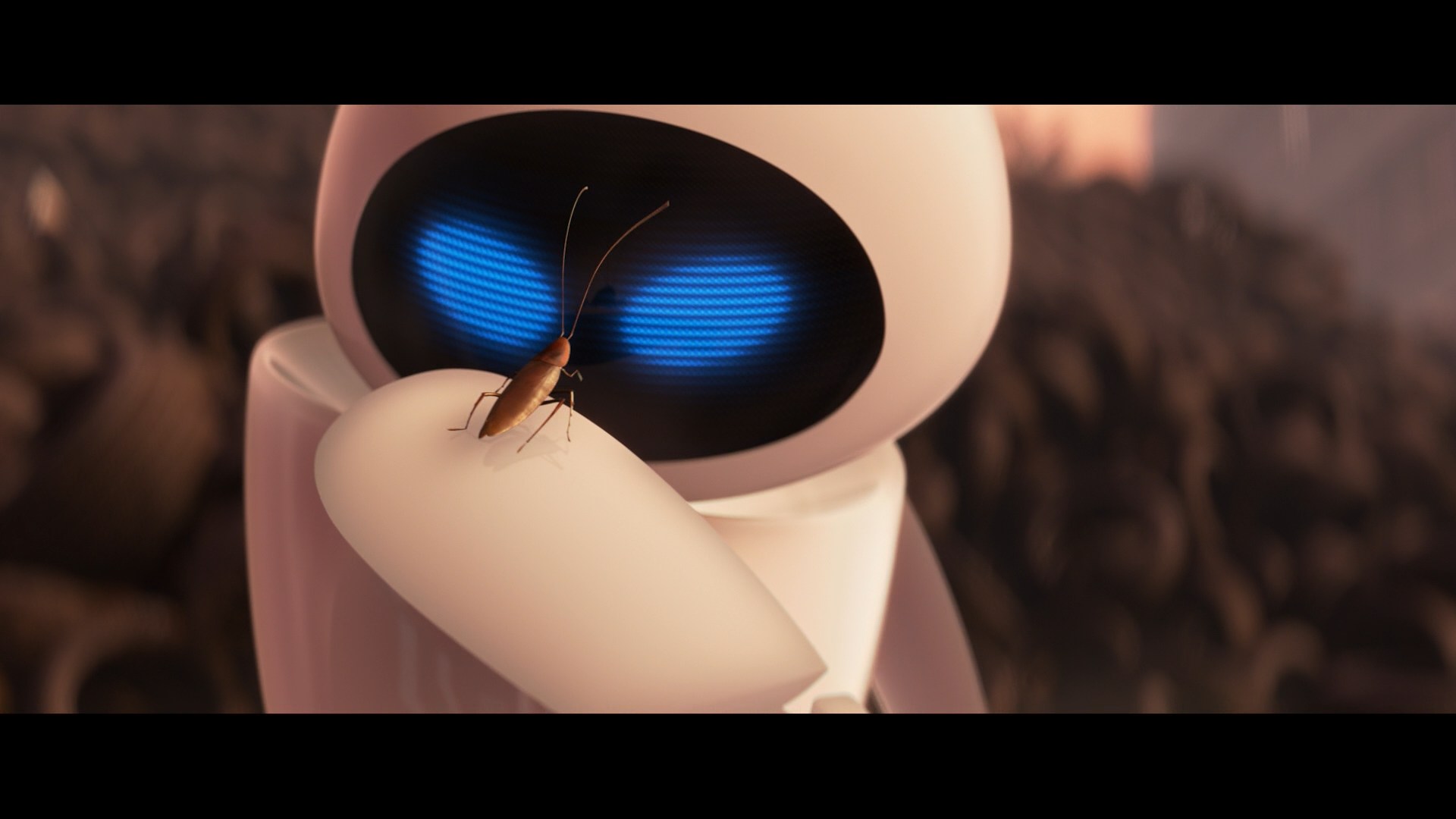 Wall-e, Nuclear Apocalypse - Wall E And The Cockroach - HD Wallpaper 
