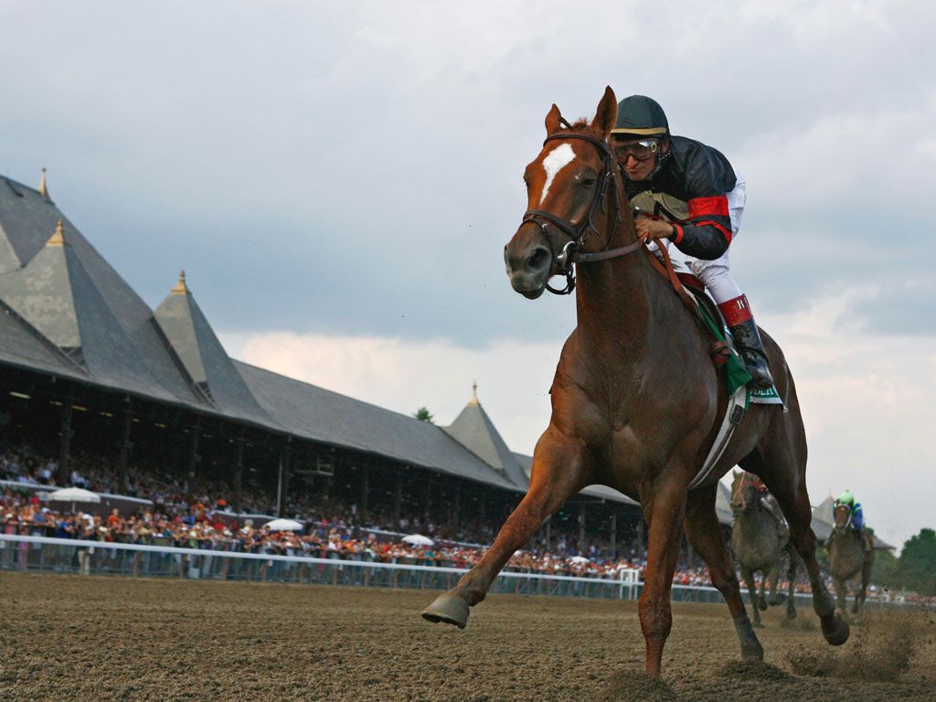 High Quality Horse Racing - 1024x768 Wallpaper High Quality Horse Racing - 1024x768 Wallpaper