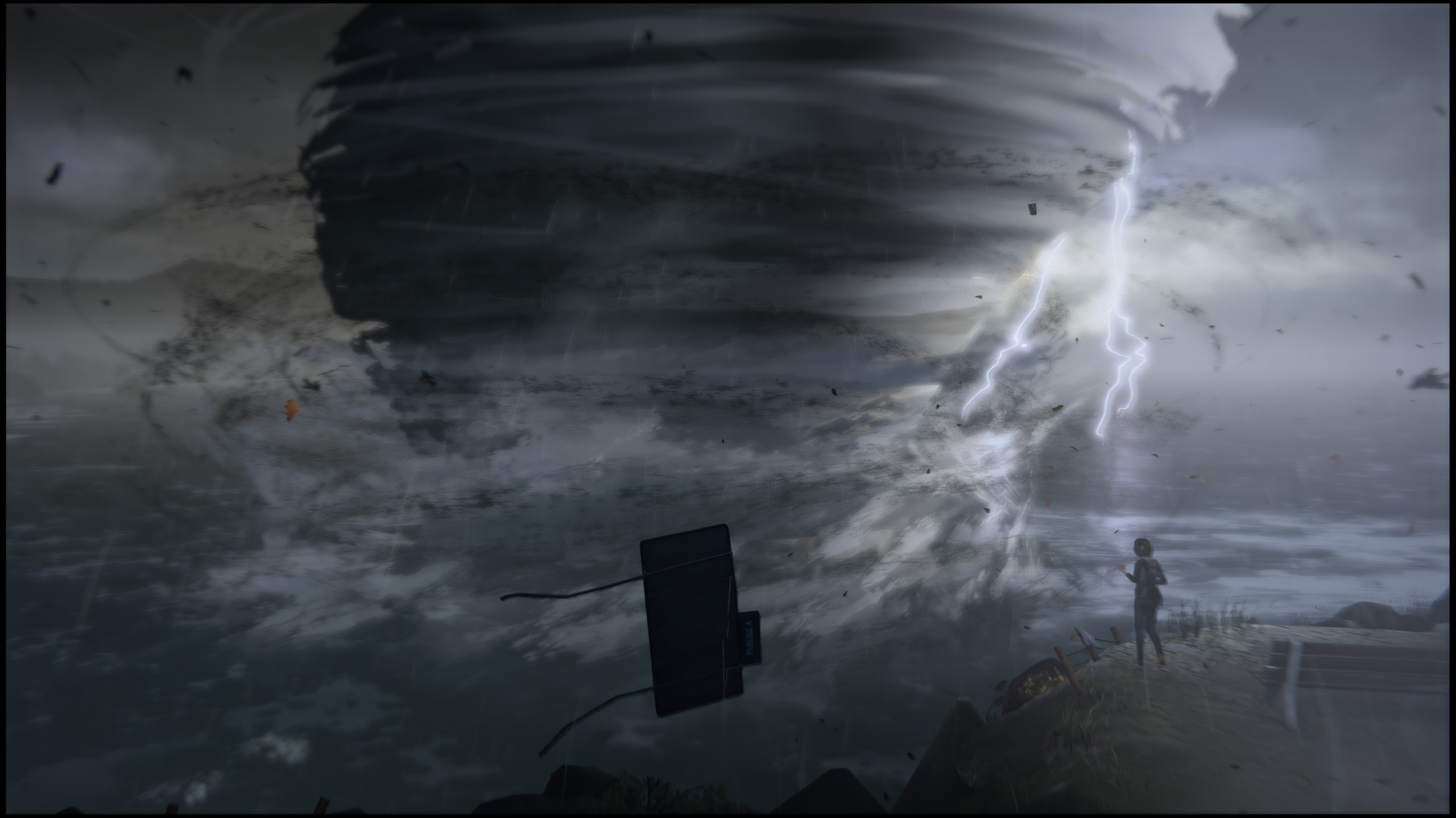 Life Is Strange 1 Best - HD Wallpaper 