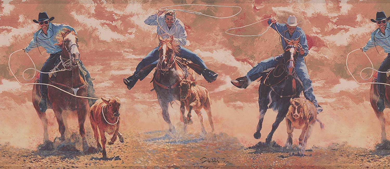 Lasso Rodeo - HD Wallpaper 