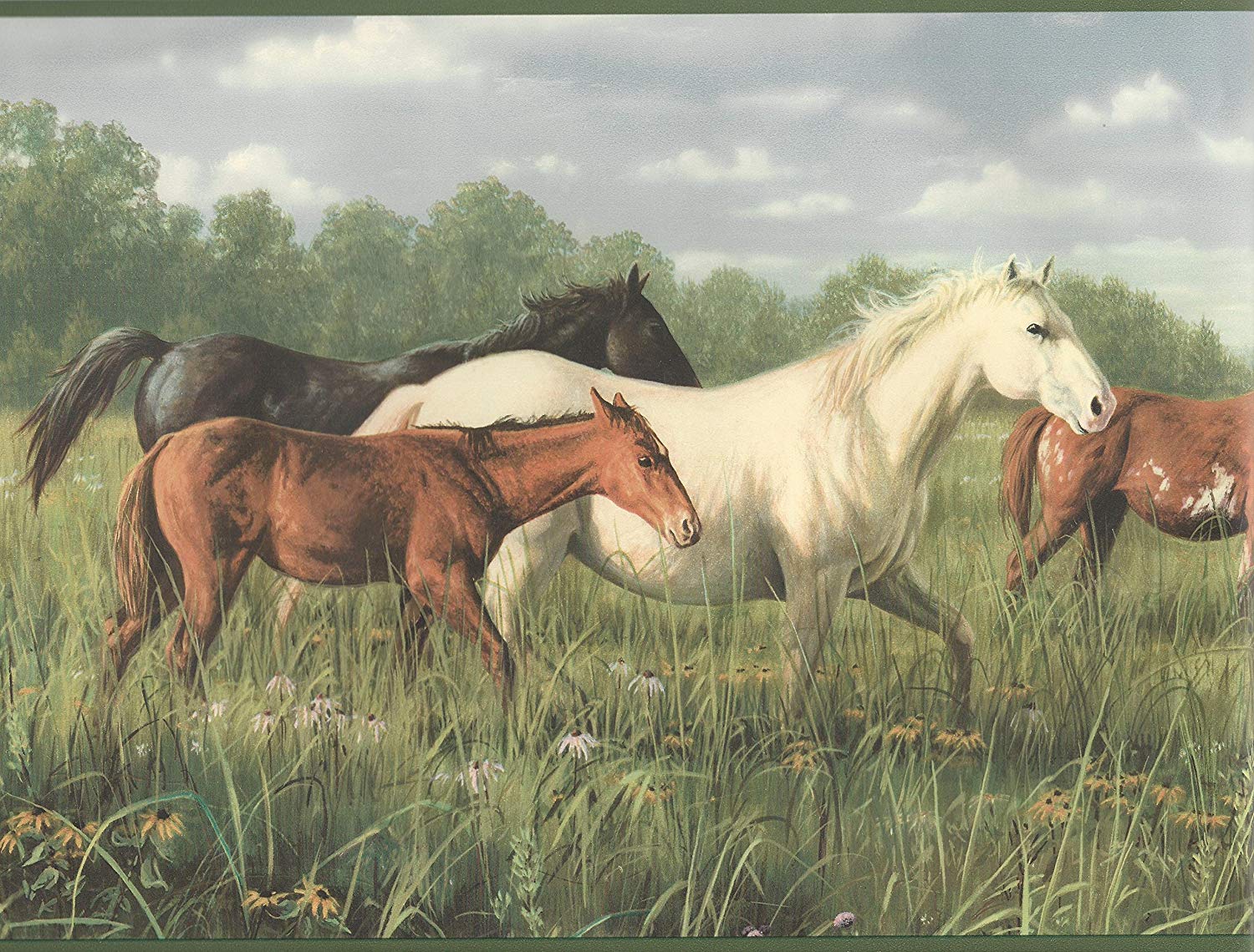 Sorrel - HD Wallpaper 